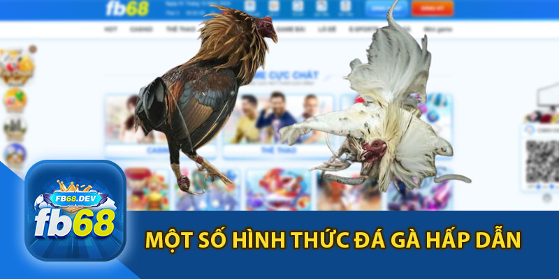 Một Số Hình Thức Đá Gà Hấp Dẫn