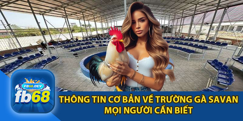 Thông Tin Cơ Bản Về Trường Gà Savan Mọi Người Cần Biết