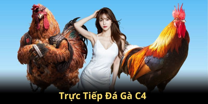 Những thông tin cơ bản về trực tiếp đá gà C4