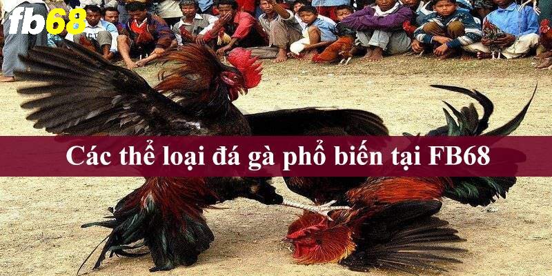 Các thể loại đá gà phổ biến hiện nay